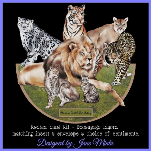 THE WILD ONES rocker card