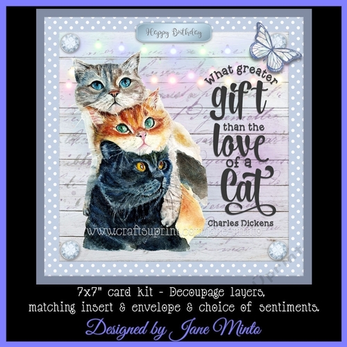 LOVE OF A CAT