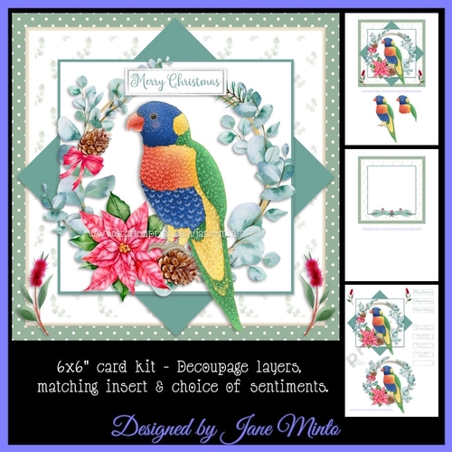 6X6 CHRISTMAS RAINBOW LORIKEET 