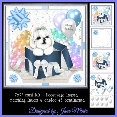 GIFT BOX - SHIH TZU