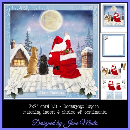 STARGAZING WITH SANTA - DOGS
