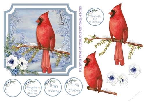 WINTER MALE CARDINAL