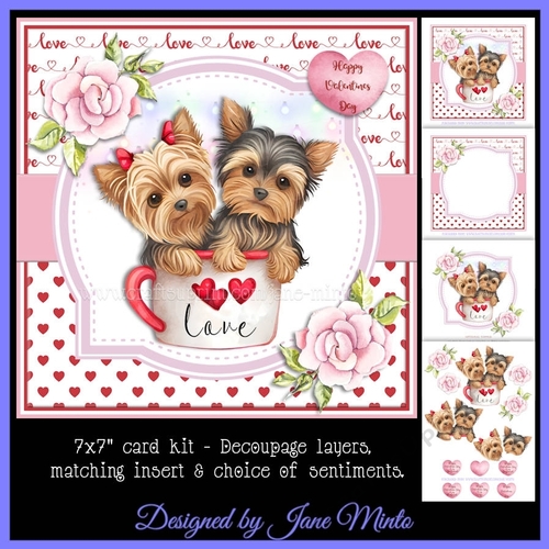 VALENTINE YORKIES