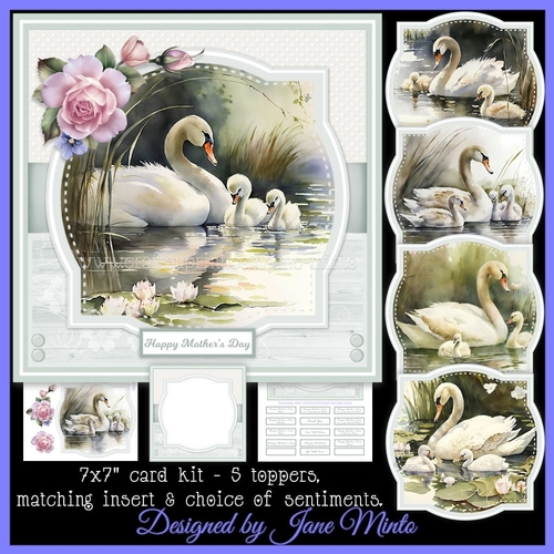 SWAN FAMILY