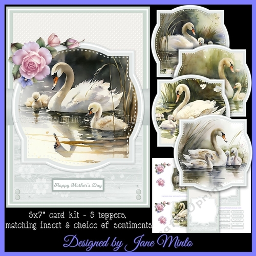 SWAN FAMILY 5X7
