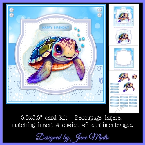 BIRTHDAY TURTLE 5.5