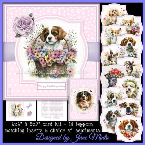 PRETTY IN PINK DOGS