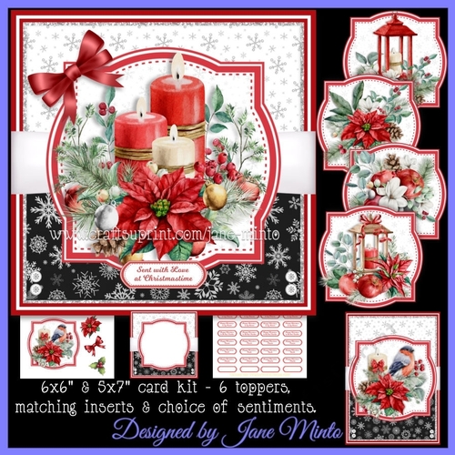 CHRISTMAS FLOWERS