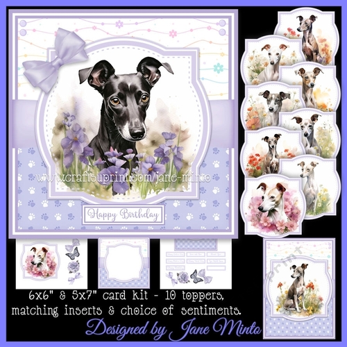 ITALIAN GREYHOUNDS