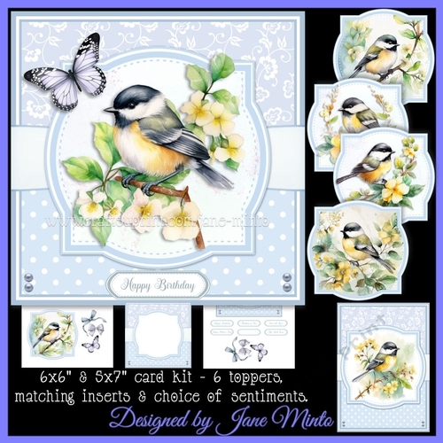 GREAT TIT BIRDS