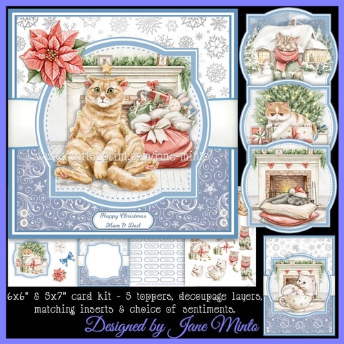 CATS AT CHRISTMAS 1