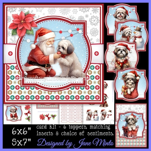 SHIH TZU AT CHRISTMAS