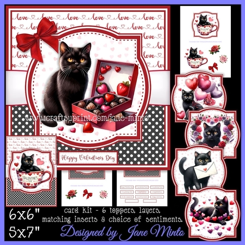 LOVE BLACK CATS
