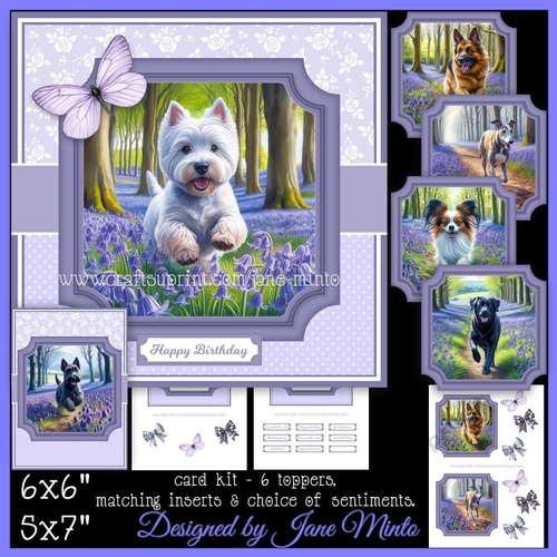 BLUEBELL WOODS