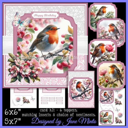 ROBINS IN THE GARDEN