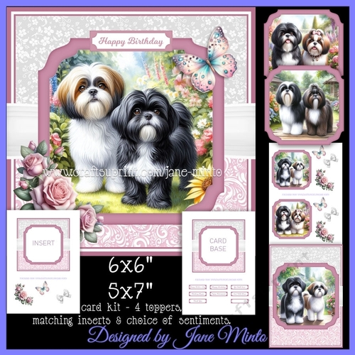 SHIH TZU in the garden