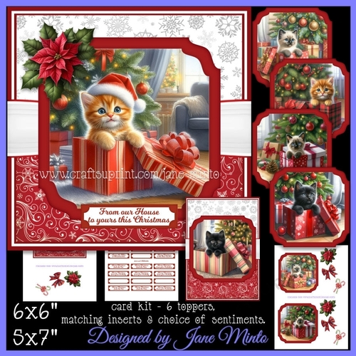 CHRISTMAS GIFTS - CATS