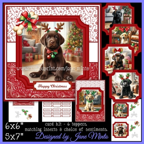 CHRISTMAS LABRADOR PUPPIES