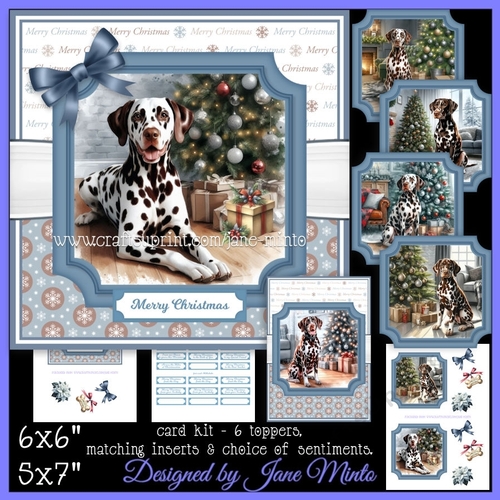 LIVER SPOT DALMATIAN AT CHRISTMAS