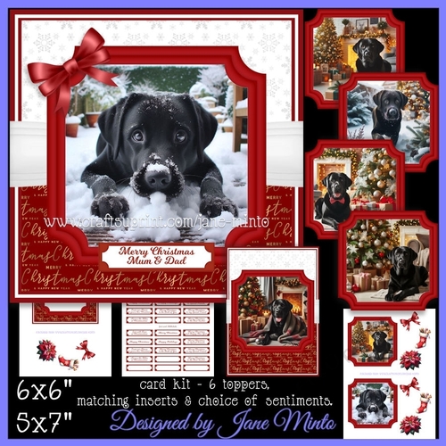 BLACK LABS AT CHRISTMAS