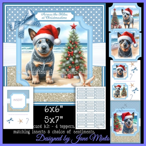 CHRISTMAS CATTLE DOGS - beach