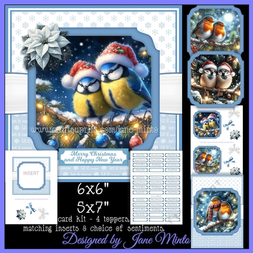 CHRISTMAS EVE BIRDS