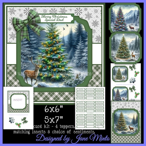 WILD CHRISTMAS