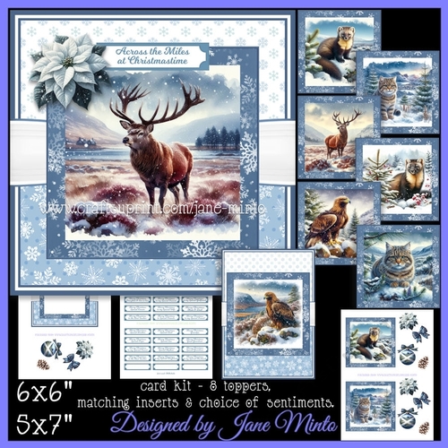 WILD SCOTLAND IN WINTER