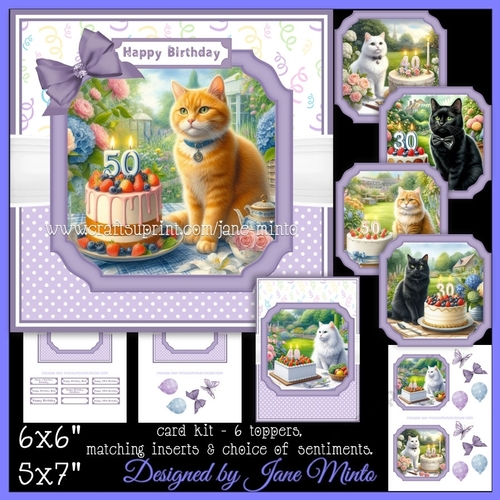 CATS - SPECIAL AGE BIRTHDAYS - 30, 40, 50