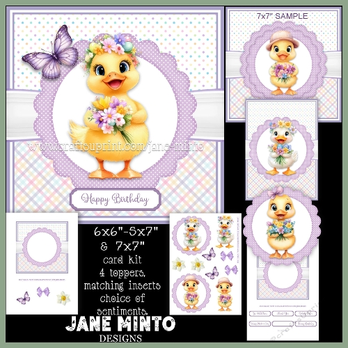 THANK YOU, BIRTHDAY, GET WELL - LITTLE DUCKLING 