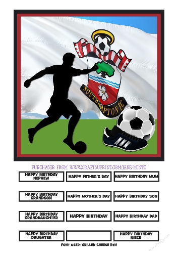 SOUTHAMPTON FC quick card REQUEST