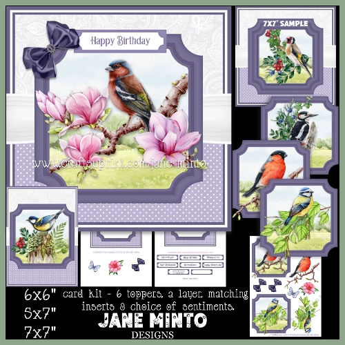 BIRD WATCHING - 6x6 5x7 7x7