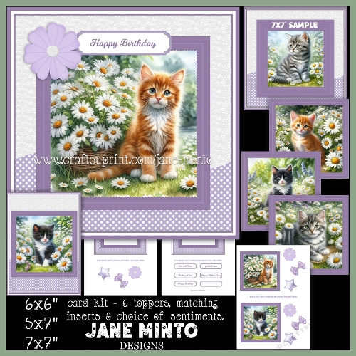 7x7, 6x6, 5x7 - DAISY CATS