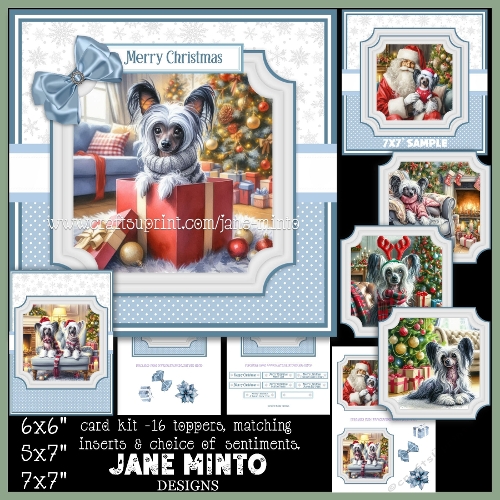 CHINESE CRESTED DOG CHRISTMAS SET - request