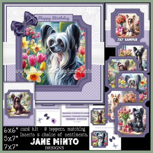 CHINESE CRESTED DOG 