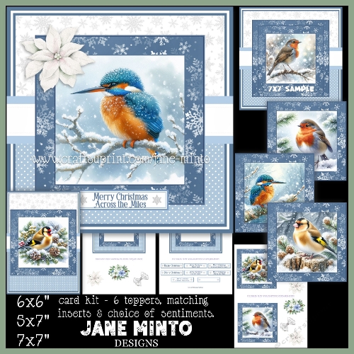 FROSTY MORNING BIRDS
