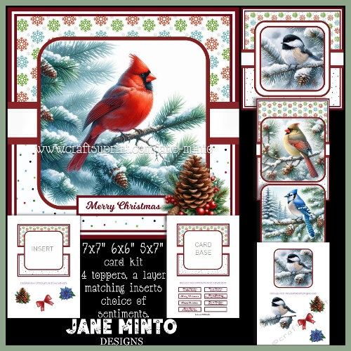 cup1384832_57683 - CHRISTMAS BIRDS - US