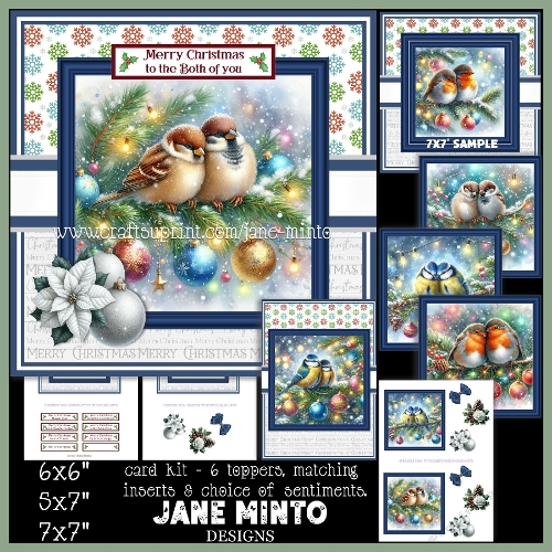 SNUGGLY CHRISTMAS BIRDS 
