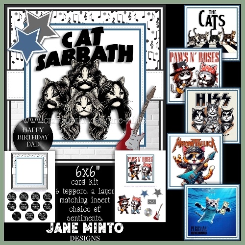 cup1391310_57683 - COOL CATS 6X6