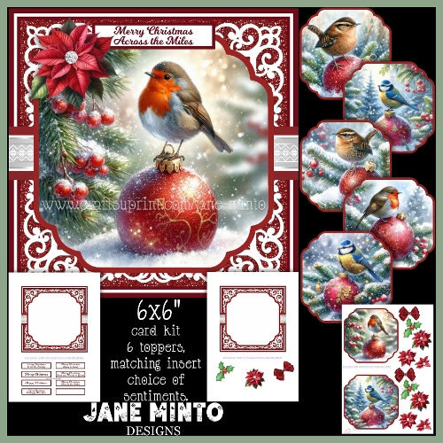 cup1393561_57683 - CHRISTMAS BAUBLE BIRDS 6X6