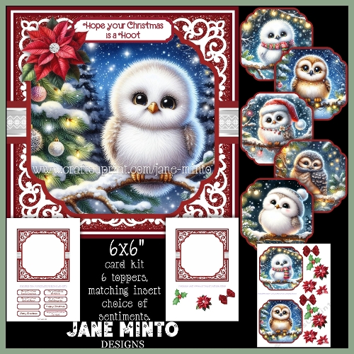 CHRISTMAS OWL 6x6