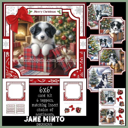 CHRISTMAS COLLIE 6x6