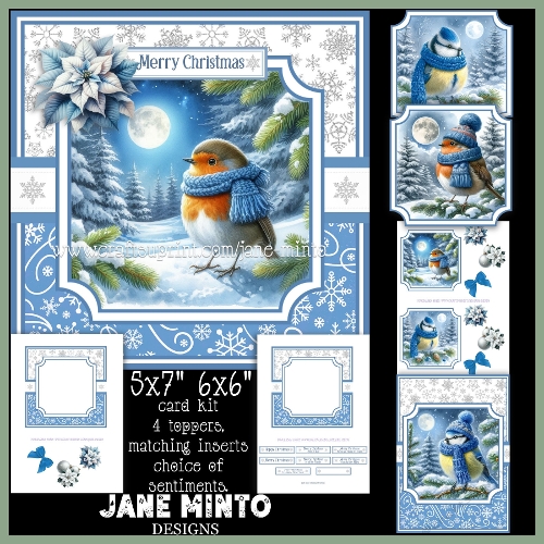 WINTER WOODLAND BIRDS 6x6 5x7