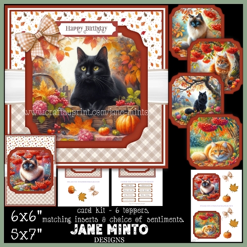 AUTUMN GARDEN CAT 6x6 5x7