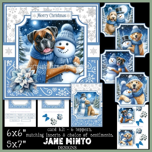 SNOWMANS BEST FRIEND SET 3