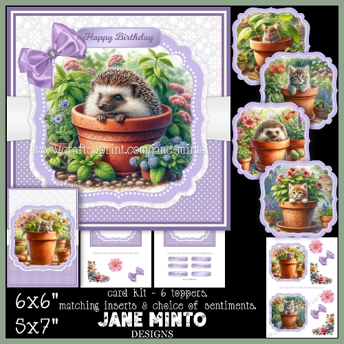 cup1400031_57683 - PLANT POT FUN 6x6 5x7