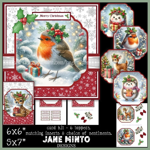 CHRISTMAS GIFT 6x6 5x7