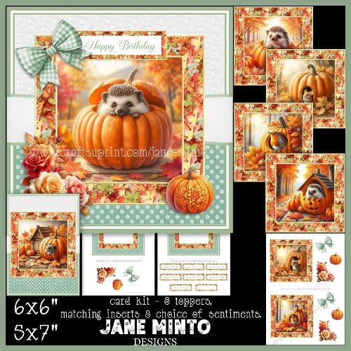 PUMPKIN HOUSE 6x6 5x7