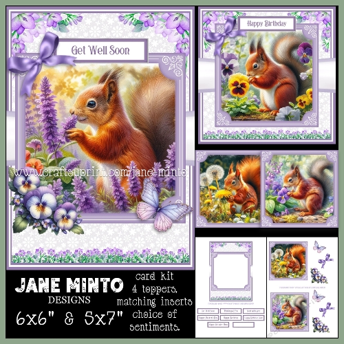 LITTLE SQUIRREL 6x6 & 5x7