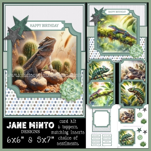 LIZARD LOUNGE 6x6 5x7